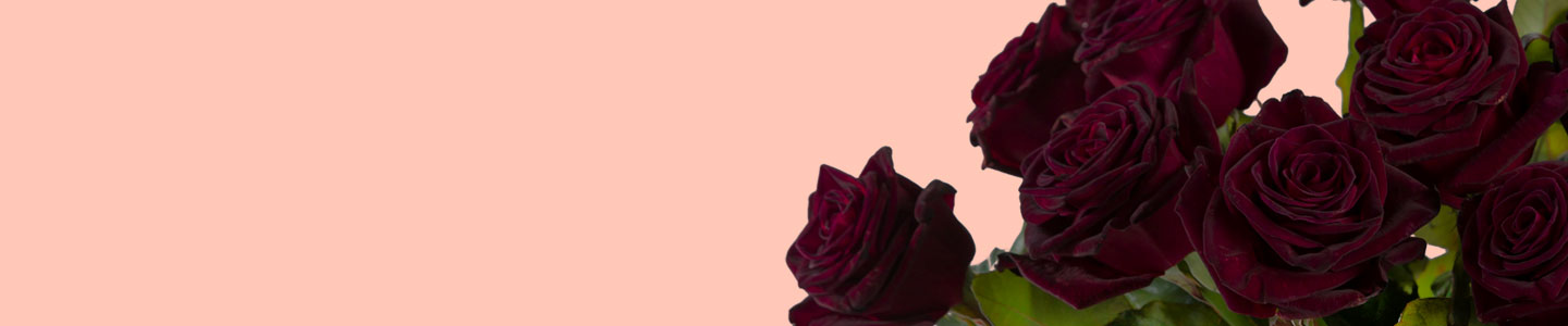Schwarze Rosen