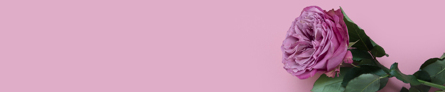 Premium-Rosen