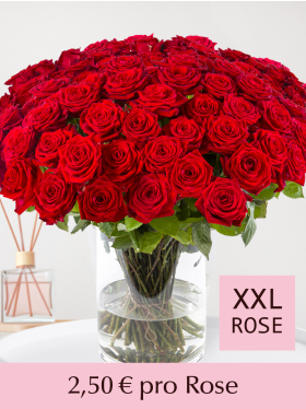 10 bis 99 Rote Rosen - Red Naomi