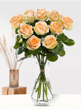 10 Apricot Rosen