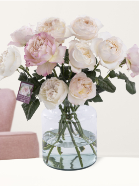 10 Rosa David Austin Rosen