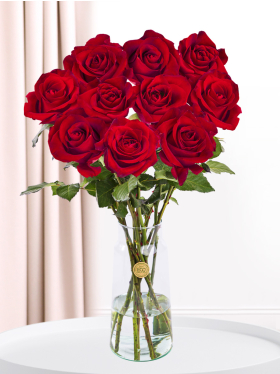 10 Rote Rosen - EverRed