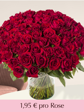 100 bis 499 Rote Rosen - EverRed