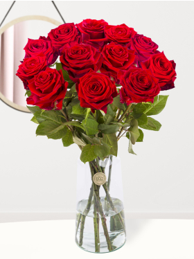 12 Rote Rosen - Red Naomi