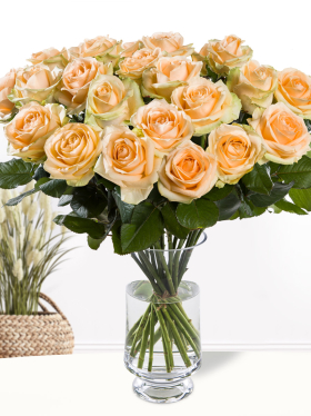 20 Apricot Rosen
