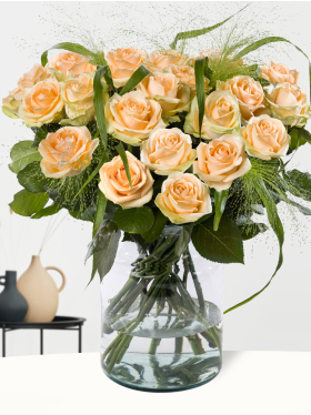 20 Apricot Rosen mit Panicum