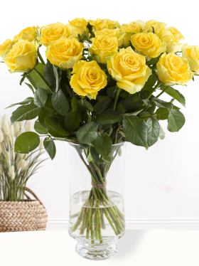 20 Gelbe Rosen