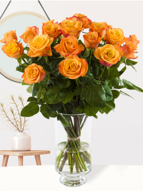20 Orange Rosen - Confidential