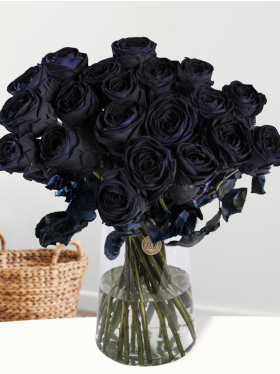 20 Schwarze Rosen