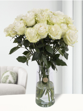 20 Weiße Rosen aus Ecuador