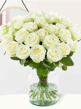 30 Wei&szlig;e Rosen - Avalanche