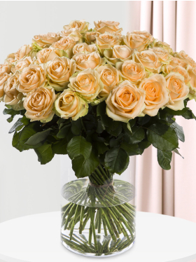 50 Apricot Rosen - Sweet Avalanche