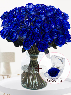 50 Blaue Rosen