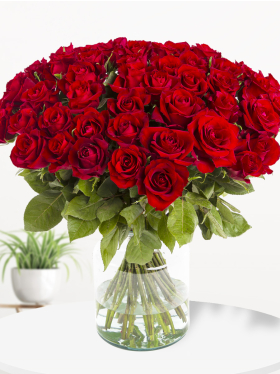 50 Rote Rosen