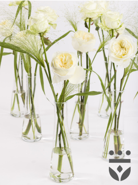 6 Wei&szlig;e Centerpieces, inklusive Vasen - Platinum | Hoch gebunden