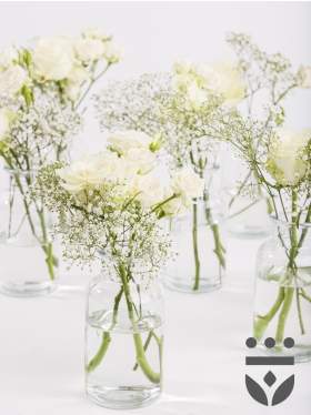6 Wei&szlig;e Centerpieces - Silber | Kurz gebunden