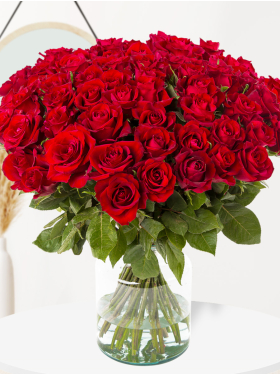 80 Rote Rosen