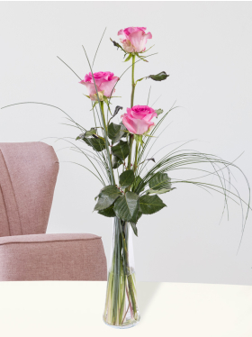 Drei Pinke Rosen inklusive Glasvase - Revival