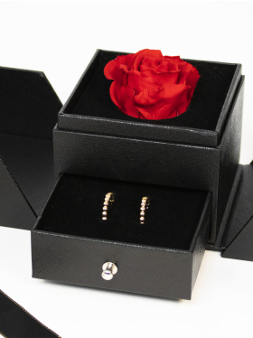 Lang haltbare rote Rose in einer Schmuckschatulle