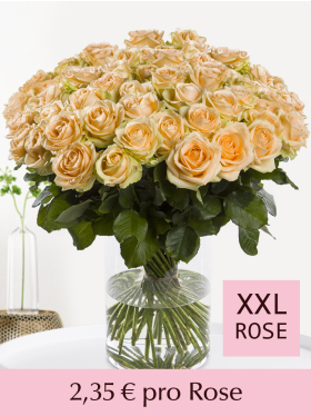 Stückzahl Apricotfarbene Rosen - 100 bis 499