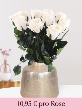Cremefarbene long life Rosen