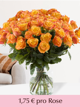 100 bis 499 Orange Rosen