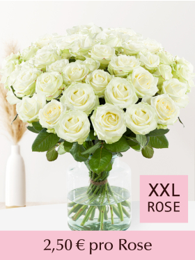 10 bis 99 Weiße Rosen