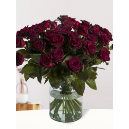 50 Rosen Black Baccara Surprose.de