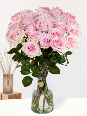 10, 20, 30 Rosa Rosen - Sweet Revival
