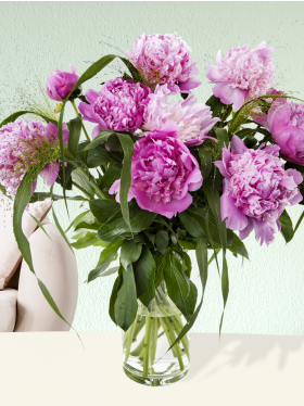 10 Pinke Pfingstrosen mit Panicum
