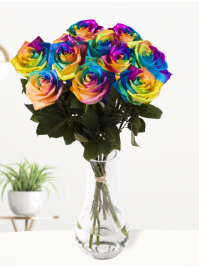 10 Regenbogen Rosen