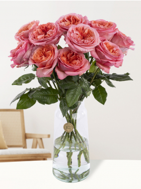 10 Rosa Rosen aus Ecuador
