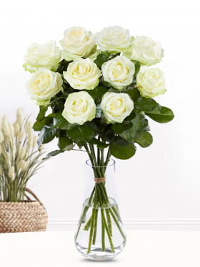 10 Weiße Rosen - Avalanche