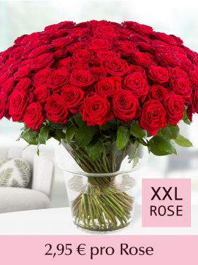 100 bis 499 Rote Rosen - Red Naomi