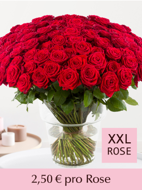 100 bis 499 Rote Rosen - Red Naomi
