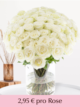 100 bis 499 Weiße Rosen - Snowstorm