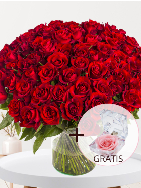 100 Rote Rosen - EverRed