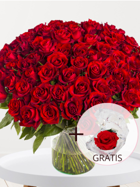 100 Rote Rosen - EverRed