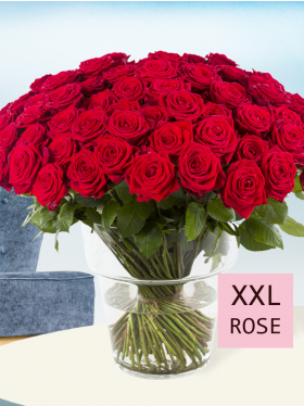 100 rote Premium-Rosen