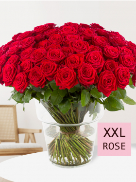 100 Rote Rosen - Red Naomi