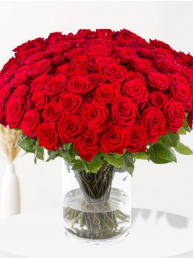 100 Rote Rosen - Red Naomi
