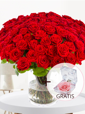 100 Rote Rosen - Red Naomi
