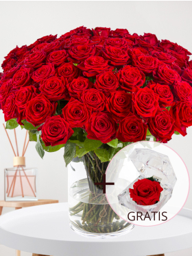 100 Rote Rosen - Valentinstag