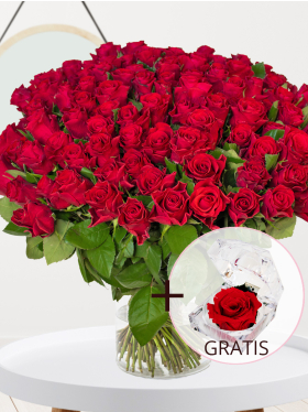 100 Rote Rosen - Red Tacazzi