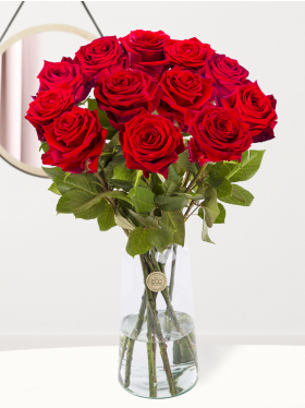 12 Rote Rosen - Red Naomi