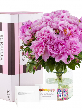 15 Pinke Pfingstrosen