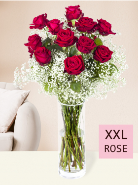 15 Rote Rosen mit Schleierkraut (XXL Blüte)