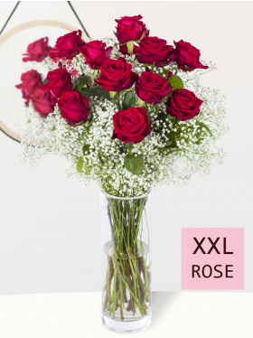 15 Rote Rosen mit Schleierkraut - XXL
