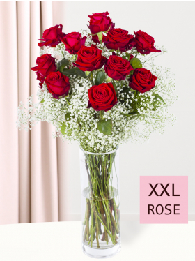 15 Rote Rosen mit Schleierkraut - XXL