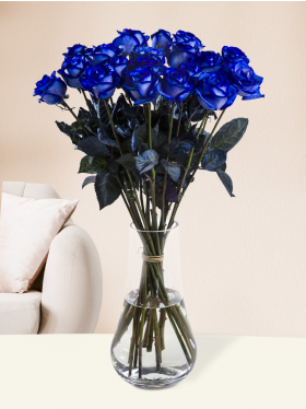 20 Blaue Rosen
